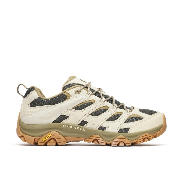 Merrell Moab hiking shoe